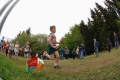 2006_rnr_34_017 2006_rnr_34_017