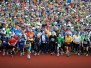 41. Rennsteiglauf (2013)