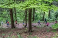 44.GutsMuths-Rennsteiglauf 44.GutsMuths-Rennsteiglauf