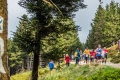 44.GutsMuths-Rennsteiglauf 44.GutsMuths-Rennsteiglauf