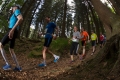 nw_160521_1120-11