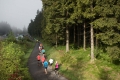 nw_170520__0751-11