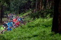 nw_170520__0904-8