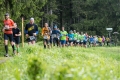 238-DSC09572-lr6 238-DSC09572-lr6