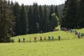 nw_170520__1134-3 nw_170520__1134-3