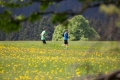 nw_170520__1207-6