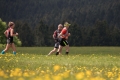 nw_170520__1210-21