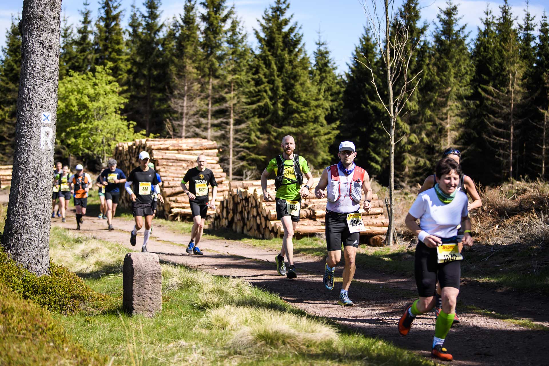 Fotogalerien 48. GutsMuthsRennsteiglauf am 2. & 3