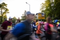 18.05.2019, xkvx, Crosslauf, 47. GutsMuths-Rennsteiglauf, v.l. 18.05.2019, xkvx, Crosslauf, 47. GutsMuths-Rennsteiglauf, v.l.