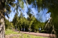 18.05.2019, xkvx, Crosslauf, 47. GutsMuths-Rennsteiglauf, v.l. 18.05.2019, xkvx, Crosslauf, 47. GutsMuths-Rennsteiglauf, v.l.