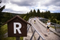 18.05.2019, xkvx, Crosslauf, 47. GutsMuths-Rennsteiglauf, v.l. 18.05.2019, xkvx, Crosslauf, 47. GutsMuths-Rennsteiglauf, v.l.