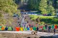 0455-W2P08399-03772310_HD_w2photo