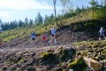 0458-W2P08416-03772310_HD_w2photo