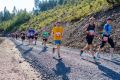 0460-W2P08425-03772310_HD_w2photo