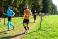 0556-W2P09116-03772310_HD_w2photo