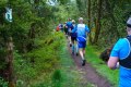 0835-W2P02000-03772310_HD_w2photo