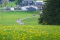 0961-W2P06391-03771490-2_HD_w2photo