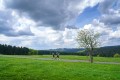0967-W2P03177-03772310-2_HD_w2photo