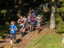 50. Rennsteiglauf (2023)<br />Halbmarathon