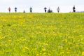nw_230513_11_33_33 nw_230513_11_33_33