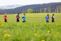 nw_230513_11_39_25 nw_230513_11_39_25