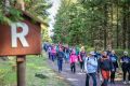 6P6A5234-RSL-Wanderung-T.Oemus_ 6P6A5234-RSL-Wanderung-T.Oemus_