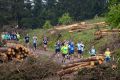 nw_240525_09_13_52-2