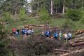 nw_240525_09_19_59-2