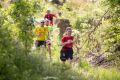 nw_240525_10_55_06-2 nw_240525_10_55_06-2