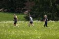 nw_240525_11_17_38 nw_240525_11_17_38