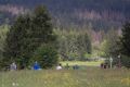 nw_240525_11_40_03 nw_240525_11_40_03
