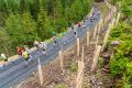1187-W2P08135-03771490-2_HD_w2photo