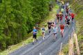 1194-W2P08267-03771490-2_HD_w2photo