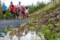 1205-W2P08504-03771490-2_HD_w2photo