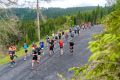 1216-W2P08680-03771490_HD_w2photo