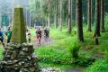 1292-W2P01704-03772371_HD_w2photo