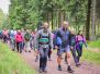 51. Rennsteiglauf (2024)<br />W & NW 17KM