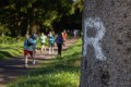 Rennsteiglauf 2025 Rennsteiglauf 2025
