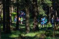Rennsteiglauf 2025