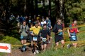 Rennsteiglauf 2025