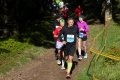 Rennsteiglauf 2025