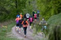 Rennsteiglauf 2025