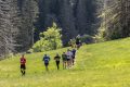 Rennsteiglauf 2025