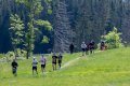 Rennsteiglauf 2025 Rennsteiglauf 2025