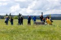 Rennsteiglauf 2025 Rennsteiglauf 2025