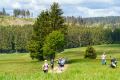 1893-W2P04828-03772310_HD_w2photo
