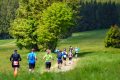 1894-W2P04833-03772310_HD_w2photo