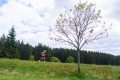 1993-W2P06712-03771490_HD_w2photo
