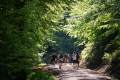 - News, 52. GutsMuths Rennsteiglauf - KV6_5188.NEF