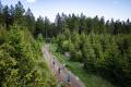 - News, 52. GutsMuths Rennsteiglauf - KV4_5309.NEF